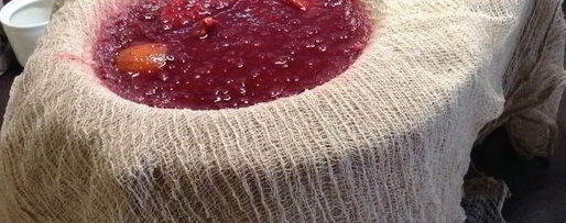 Шаг 5: настойки несмеяновка женская