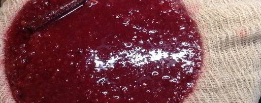 Шаг 6: настойки несмеяновка женская