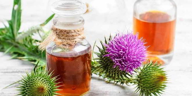 Рецепт настойки расторопши