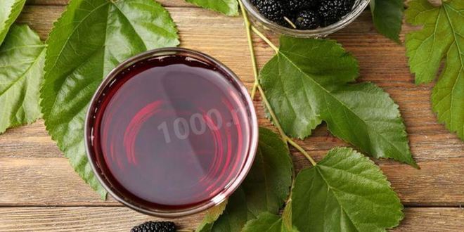 Рецепт настойки шелковицы