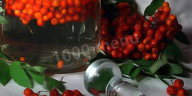 Рецепт рябиновой настойки из рябины на водке