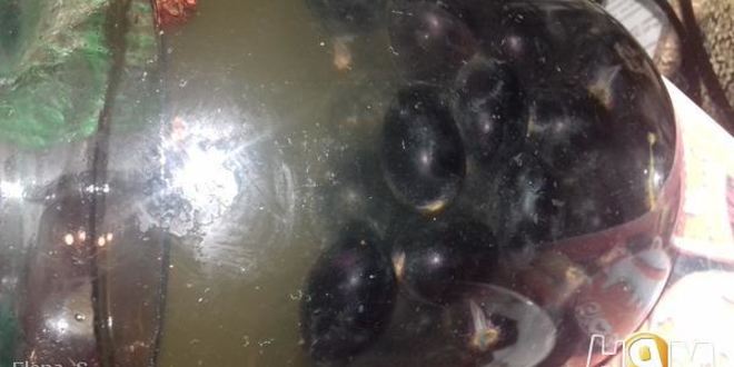 Рецепт виноградной настойки пряно-пьяная изабелла