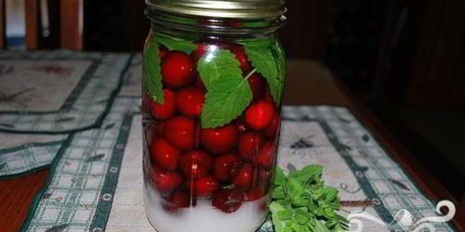 Рецепт вишневой настойки