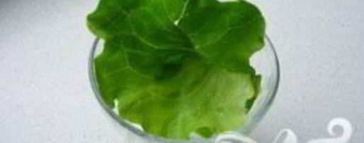 Шаг 10: скандинавского коктейля