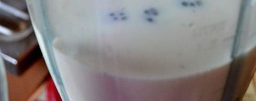 Шаг 2: смузей ореховый с ежевикой