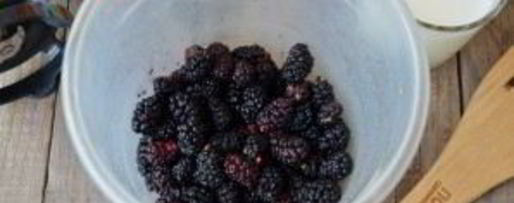 Шаг 1: смузей с шелковицей