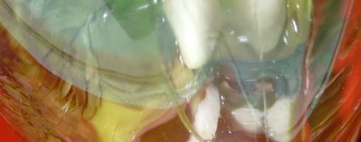 Шаг 1: зеленого смузи