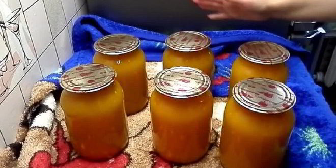 Рецепт абрикосового сока