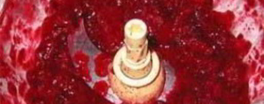 Шаг 1: клюквенного сока