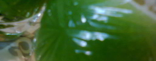 Шаг 2: овощного сока зеленого