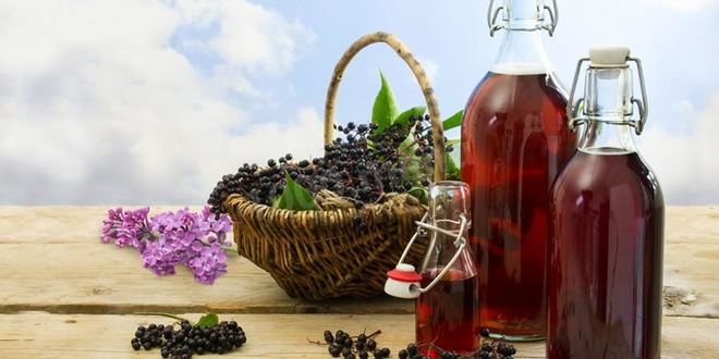 Рецепт сока черной бузины