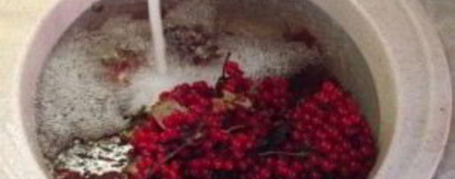 Шаг 1: сока из калины