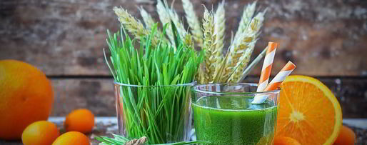 Шаг 6: сока из ростков пшеницы