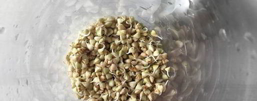 Шаг 9: томатного сока с зеленой гречкой, сельдереем и сметаной