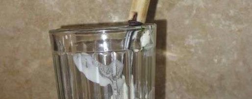 Шаг 7: томатного сока со специями