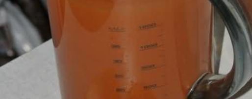 Шаг 28: тыквеного сока