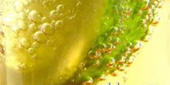 Рецепт царского пива