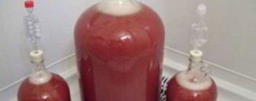 Шаг 4: вина из черноплодки