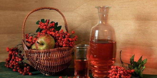 Рецепт вина из красной рябины