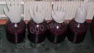 Рецепт Вина из винограда северных сортов