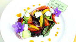 Рецепт Греческого салата в новом стиле с молодой зеленью