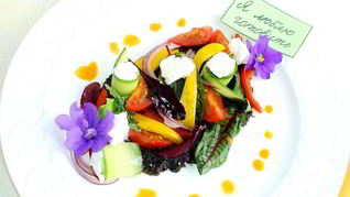 Рецепт Греческого салата в новом стиле с молодой зеленью