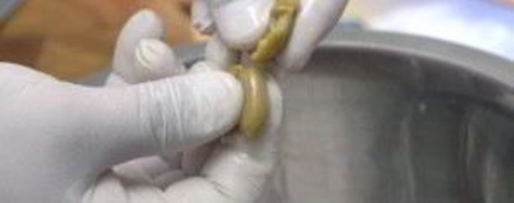 Шаг 7: салата греческого с мясом