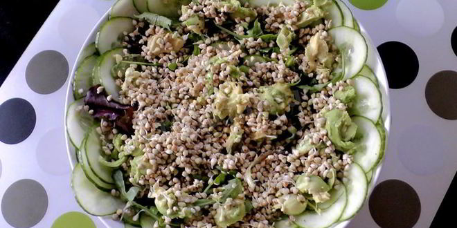 Рецепт салата с авокадо огурцом и пророщенной гречкой