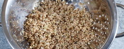 Шаг 3: салата с проростками гречки