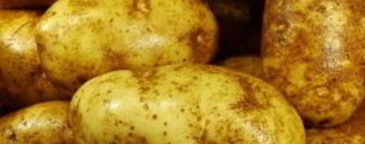 Шаг 1: картофельного салата с беконом