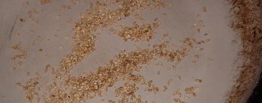 Шаг 3: теплого картофельного салата