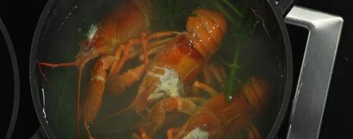 Шаг 1: салата оливье с перепелиным мясом, раковыми шейками и трюфелем