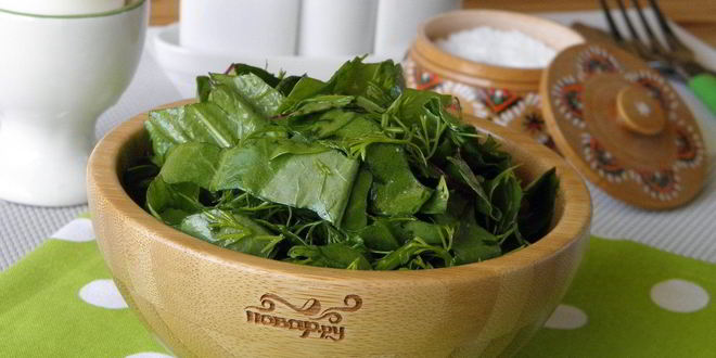 Рецепт салата из щавеля