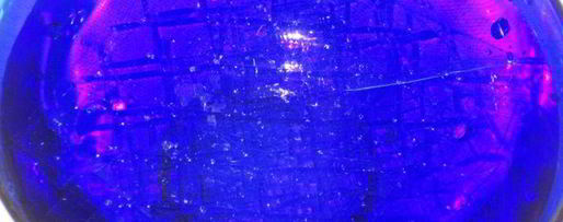 Шаг 6: цуккотто мимоза с лимонным муссом