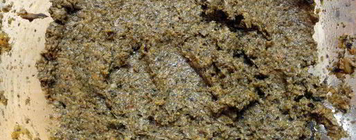 Шаг 2: сельди под шубой с грибной икрой