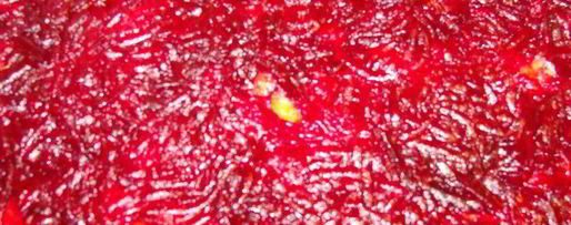 Шаг 8: селедки под шубой новогодняя