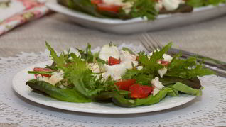 Рецепт Салата с курицей и овощами