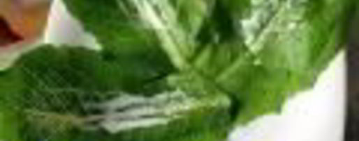 Шаг 4: салата цезарь в минималистическом стиле