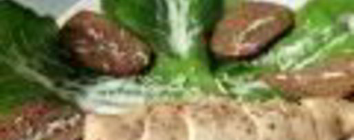 Шаг 5: салата цезарь в минималистическом стиле