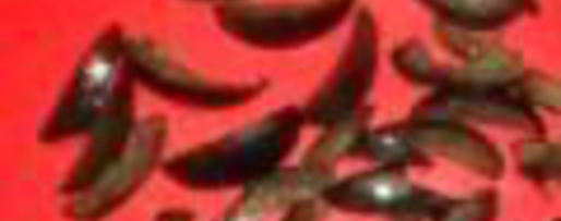 Шаг 5: винегрета из испании