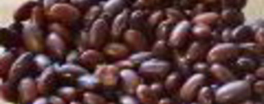 Шаг 1: винегрета с красной фасолью и сельдью