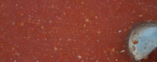 Шаг 2: кетчупа чесночного