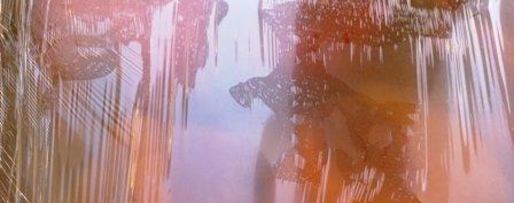 Шаг 6: кетчупа домашнего пряного