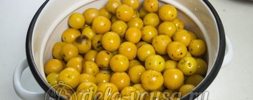 Шаг 1: кетчупа из помидоров и алычи на зиму