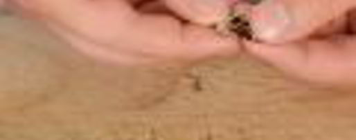 Шаг 1: кетчупа с нектаринами