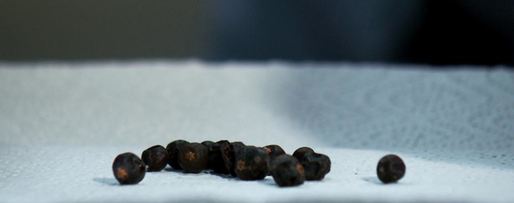 Шаг 2: лукового соуса с можжевельником