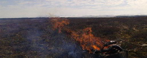 Шаг 1: маринада лукового