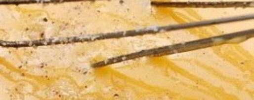 Шаг 4: соуса голландского