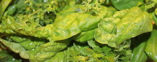 Шаг 2: чесночно-базиликового песто