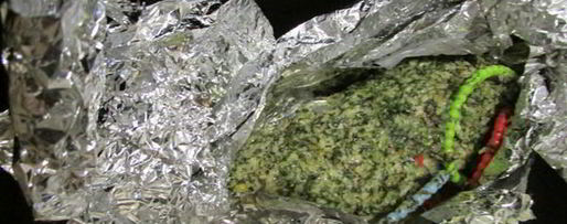 Шаг 11: филе индейки с соусом песто из укропа